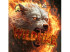 Gomas Der-materialspezialist Wildfire