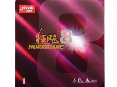 DHS Hurricane 8