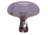 DONIC Zentra Carbon 3