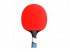 CORNILLEAU Raqueta Perform 500 ***