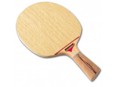 Bois DONIC Waldner Dotec CARBON