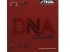 Gomas STIGA DNA Dragon Grip 55