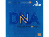 Revêtement STIGA DNA Dragon Power 57.5