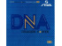 Gomas STIGA DNA Dragon Power 52.5